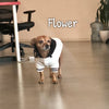 Athletic Street Hoodie - My Dog Flower