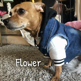 Athletic Street Hoodie - My Dog Flower