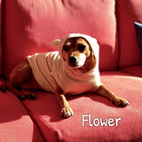 Big Heart Bear Hoodie - My Dog Flower