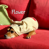 Big Heart Bear Hoodie - My Dog Flower