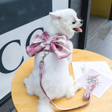 Bowknot Harness & Leash Set - My Dog Flower