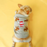 Christmas Sweater - My Dog Flower