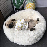 Cozy Plush Bed - My Dog Flower