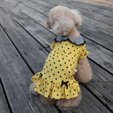 Dainty Dots Dress - My Dog Flower