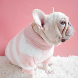 Flower's Favorite Fluffy Sweater - My Dog Flower