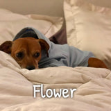 Flower's Favorite Hoodie - My Dog Flower