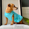 Flower's Favorite Summer Dress - My Dog Flower