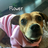 Flower's Favorite Sweatshirt - My Dog Flower