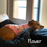Graphic Print Pullover - My Dog Flower