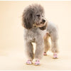Heart of Gold Sandals - My Dog Flower