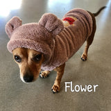 Honey Bear Hoodie - My Dog Flower