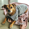 Layered Preppy Sweater - My Dog Flower