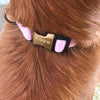 Make Me Clip Buckle Collar - My Dog Flower
