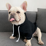 Match Me Hooded Sweatshirt - My Dog Flower