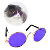 Multi-Colored Round Glasses - My Dog Flower