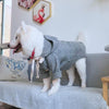 Plaid Bowtie Coat - My Dog Flower