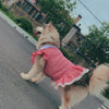Plaid Skirt Dress - My Dog Flower