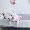 Premium Graphic Onesie - My Dog Flower