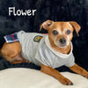 Prep School Dress - My Dog Flower