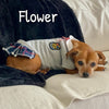 Prep School Dress - My Dog Flower