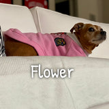 Prep School Sweater - My Dog Flower