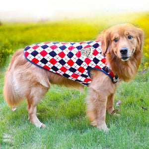 Preppy Argyle Sweater - My Dog Flower