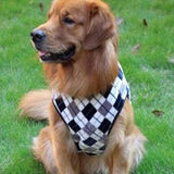 Preppy Argyle Sweater - My Dog Flower