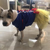 Pretty Princess Dress - My Dog Flower