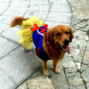 Pretty Princess Dress - My Dog Flower