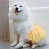 Berry Tutu Dress for Big Dogs - My Dog Flower