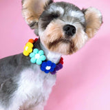 Puffy Rainbow Pendant - My Dog Flower