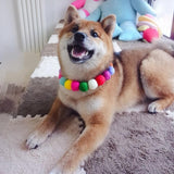 Puffy Rainbow Pendant - My Dog Flower
