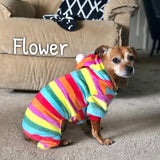 Rainbow Sherbet Onesie - My Dog Flower