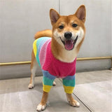 Rainbow Sweater - My Dog Flower