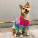 Rainbow Sweater - My Dog Flower