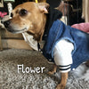 Retro Denim Vest - My Dog Flower