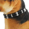 Rhinestones & Pearls Collar - My Dog Flower