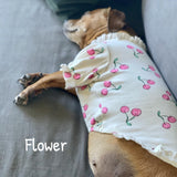 Ruffled Cherry Top - My Dog Flower