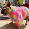 Shaggy Rainbow Sweater for Small Dogs & Cats - My Dog Flower
