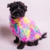 Shaggy Rainbow Sweater for Small Dogs & Cats - My Dog Flower