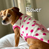 Soft Character Vest - My Dog Flower