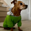 Solid & Striped Pom Hoodie - My Dog Flower