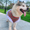 Striped Summer Dress - My Dog Flower