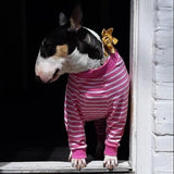 Striped Zipper Onesie - My Dog Flower