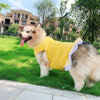 Sunshine Skirt Dress - My Dog Flower