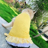Sunshine Skirt Dress - My Dog Flower