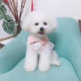 Sweet Spot Dress - My Dog Flower