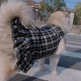 Timeless Tweed Dress - My Dog Flower
