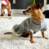 Tweed Dress Coat - My Dog Flower