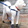 Waterproof Rain Booties - My Dog Flower